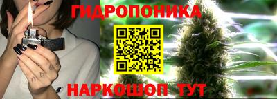 ПСИЛОЦИБИНОВЫЕ ГРИБЫ Бийск