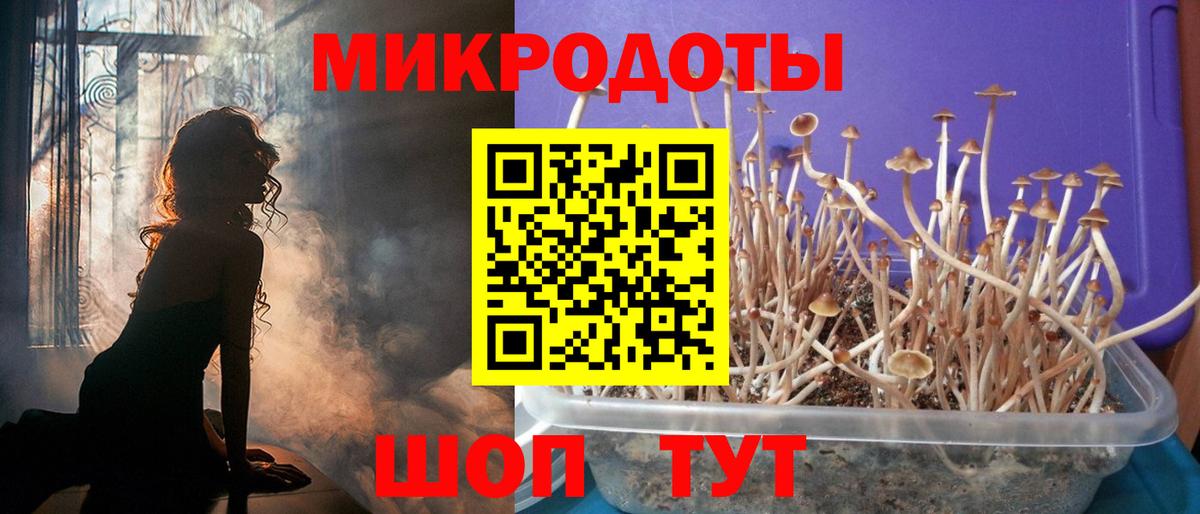 сколько стоит  Вход с VPN  Белорецк  Псилоцибиновые грибы GOLDEN TEACHER 